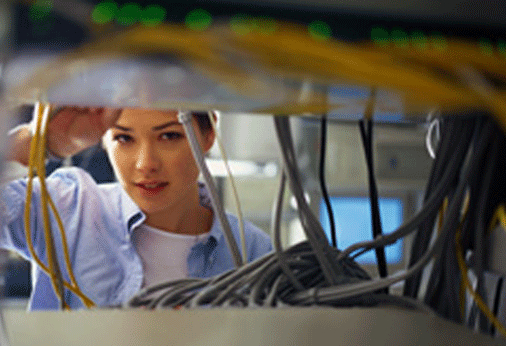 Lady Working
